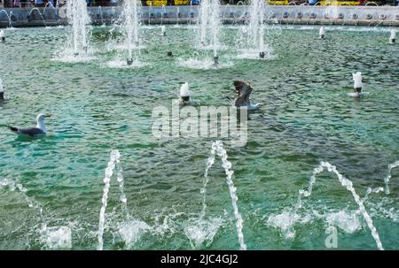 A water fountain sprinkling water in the view Stock Photo