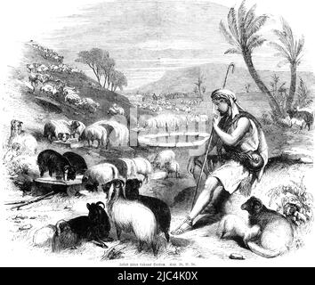 Jacob tending Laban's flock, tend, drink, sandals, staff, watering trough, valley, sheep, sit, well, landscape, mountains, trees, robe, Bible, Old Stock Photo