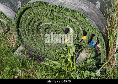 Rolls of old artificial grass outdoors Stock Photo