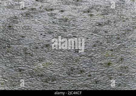 raindrop pattern and shapes on water Stock Photo