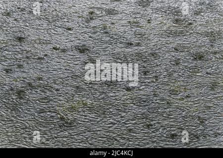 raindrop pattern and shapes on water Stock Photo