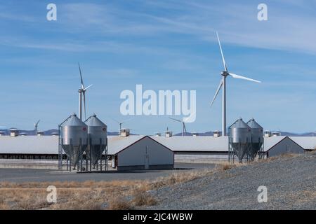 Hog barns at the Smithfield hog production site near Milford, Utah.  Waste from the hogs is processed to make natural gas.  In the background are wind Stock Photo