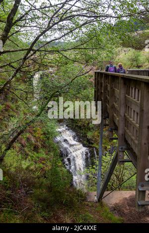 The viewing platform for the Glenashdale Falls, Isle of Arran, Scotland Stock Photo