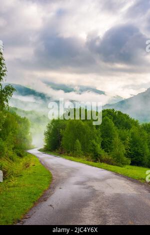 dramatic foggy weather in spring. carpathian countryside landscape in mountains. asphalt road winding through forest Stock Photo