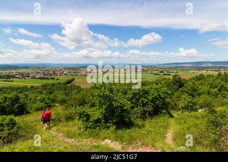 Landscape view of St Sankt Margarethen im Burgenland, Austria from Kogelberg hill Stock Photo