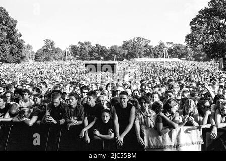 Audience for Queens of the Stone Age performing at the Virgin V Festival V2003, Hylands Park, Chelmsford, Essex, United Kingdom. Stock Photo