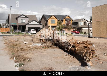 USA, Oregon, New Bend, Reed Market RD and SE 5th street, 2016 *** Local Caption ***  USA, Oregon, New Bend, Franklin Ave, house, neighborhood, america Stock Photo