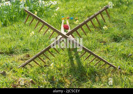 "Ostereier - Brauchtum zu Ostern das ""Ostereierscheibn"" mit gefärbten Eiern an den Osterfeiertagen Auf zwei zusammenstellten Rechen lässt man die Ei Stock Photo