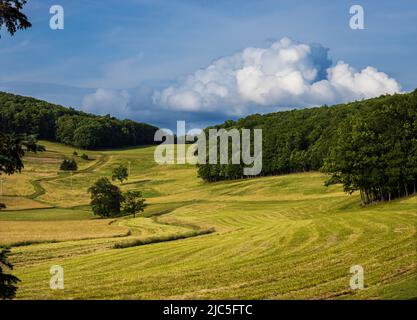 A back country grassy field with lush green tree filled hill in the background under a blue clouded sky above, Tunkhannock, Pennsylvania Stock Photo