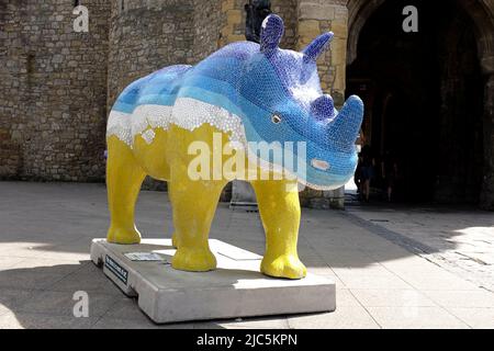 Southampton UK - 15 July 2013 - locally decorated Rhino sculptures on display in Southampton to raise awareness of the plight of Rhinos in the wild be Stock Photo