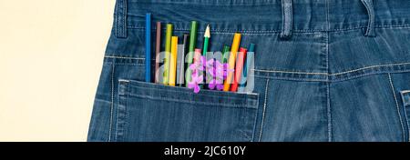 A group of colored pencils and a flower twig in a jeans pocket Stock Photo