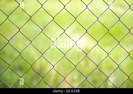 Mesh cage in the garden with green grass as background. Metal fence with wire mesh. Blurred view of the countryside through a steel iron mesh metal fe Stock Photo