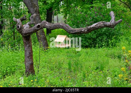 A handmade wooden bird feeder hanging from an old tree in the middle of the garden Stock Photo