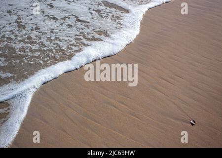 Gentle wave meets untouched sand—minimalism in motion, nature’s artistry in every detail Stock Photo