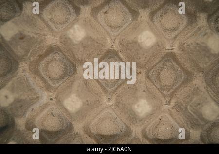 Front of paper egg crate for background. top view empty carton egg tray texture. Recycling concept Stock Photo
