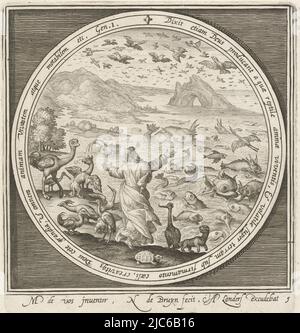 Fifth day of creation: God creates fish and birds so that the water teems with living creatures and along the vault of heaven birds fly. In medallion inscribed with a biblical text in Latin from Genesis 1, within rectangular frame., Fifth day of creation: God creates fish and birds From creation to expulsion from paradise (series title), print maker: Nicolaes de Bruyn, (mentioned on object), Maerten de Vos, (mentioned on object), publisher: Assuerus van Londerseel, (mentioned on object), Netherlands, 1581 - 1656, paper, engraving, h 137 mm × w 127 mm Stock Photo