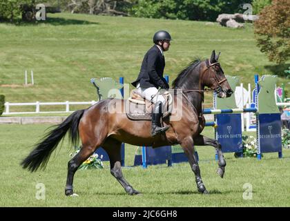 Horses and Riders at the British Show Jumping Senior Season Opener, Bicton Arena, East Budleigh Salterton, Devon, UK. Credit: Will Tudor/Alamy Stock Photo