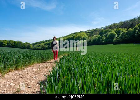 Rear view of a woman hiker walking on a footpath through a field Stock Photo