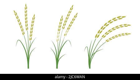 Rice and grain symbol for agriculture and plant farming vector ...