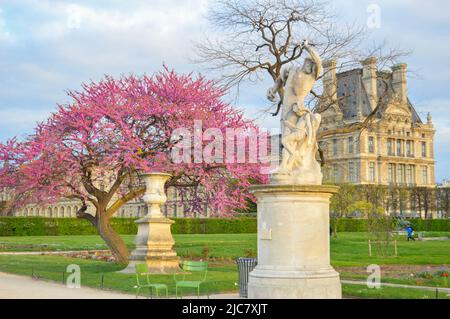 Tuileries Garden Landscape Stock Photo