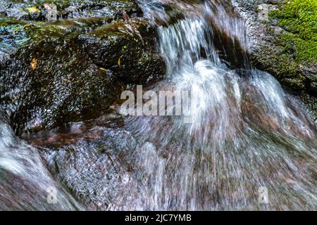 Mountain stream (close-up) Stock Photo