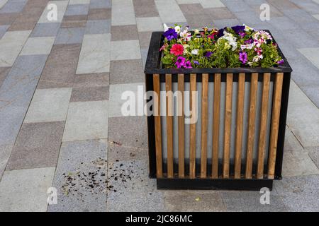 urban flower bed in the shape of a wooden cube. High quality photo Stock Photo