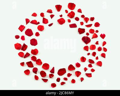 Red rose petals round frame on bright background. Place for text Stock Photo