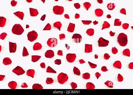 Red rose petals  pattern isolated on white background. Top view. Stock Photo