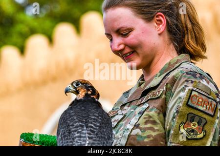 May 28, 2022 - Prince Sultan Air Base, Saudi Arabia - U.S. Air Force Staff Sgt. Brooklyn Matson, an emergency management specialist with the 378th Expeditionary Civil Engineer Squadron, holds a falcon at the Prince Sultan Air Base Museum, Kingdom of Saudi Arabia, May 28, 2022. More than 700 U.S. service members attended the Saudi Cultural Day. The three-day event, May 27-29, was hosted through a collaborative effort between the Scientist's Gift Program, local members of the Royal Saudi Air Force, and the 378th Air Expeditionary Wingss Host Nation Coordination Cell, to provide an opportunity to Stock Photo