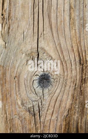 Natural texture of old wood plank with knots and crack sanded with pitch and wind Stock Photo