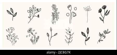 Collection of minimalist style botanical elements isolated. Hand drawn floral set of flowers, plants with leaves and herbs vector illustration Stock Photo