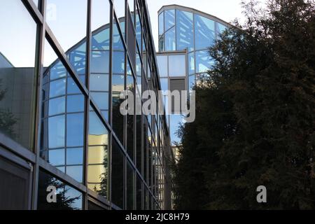 alternative reality. through the looking glass Stock Photo