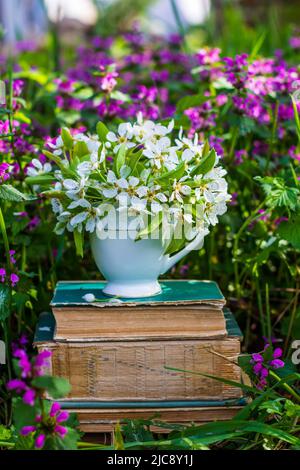 a white tea cup with a bouquet of fruit tree branches blooming with white flowers on a stack of old books in a meadow with flowering herbs on a spring Stock Photo