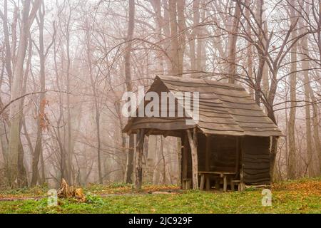 Fruška gora National Park near Novi Sad through the fog, in the winter. Stock Photo