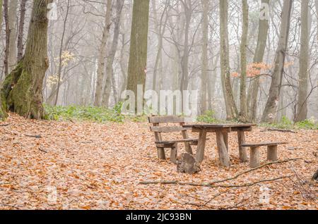 Fruška gora National Park near Novi Sad through the fog, in the winter. Stock Photo
