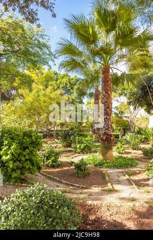 Italian Garden Palazzo Parisio Stock Photo