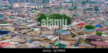 Derbent, Russia - May 09, 2022: group of huge trees in the courtyard of the Juma mosque in the historical center of the city Stock Photo