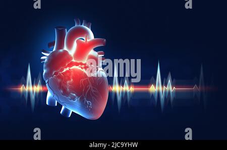 Cardio training. Human heart 3D illustration. Pulse, heartbeat. Heart stress. Medical illustration X-ray Stock Photo