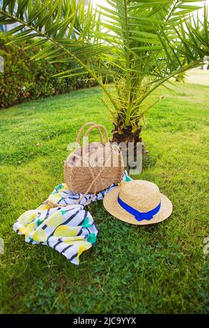 near the palm trees on the grass lies a pareo, a hat and a bag of straw Stock Photo