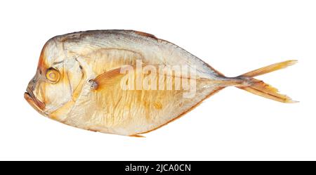 vomer fish path isolated on white Stock Photo