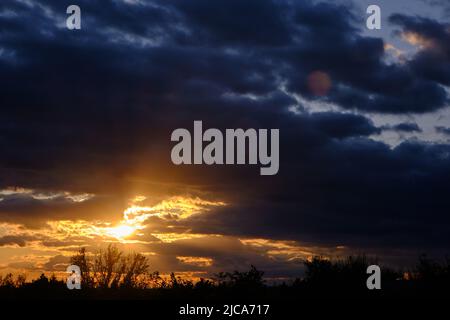 Black silhouettes trees, storm clouds with light breaking through from sun at sunset Stock Photo