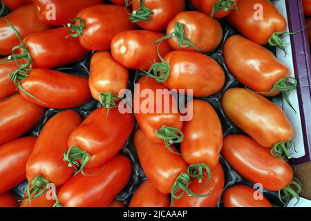 Tomaten (Solanum lycopersicum) im Gemüsegeschäft Stock Photo