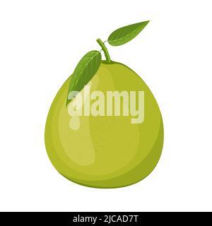 Pomelo with leaves, flat style vector illustration isolated on white background Stock Vector