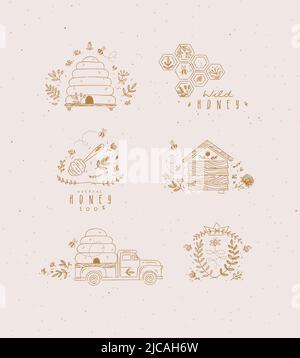 Honey collection of labels, beehive, honeycomb, spoon with flower and branches drawing in graphic style Stock Vector