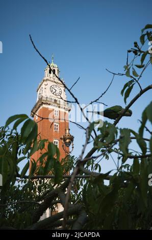 View of Torre Monumental clock tower through lush foliage, Retiro, Buenos Aires, Argentina. Clock tower Torre Monumental formerly Torre de los Inglese Stock Photo