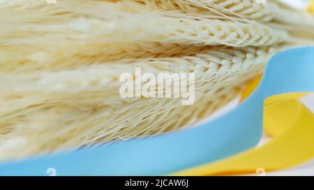 Macro photo of mature golden ears of wheat,selective focus.Beautiful natural background.Agriculture,grain harvest,Ukrainian wheat.World crisis,famine. Stock Photo