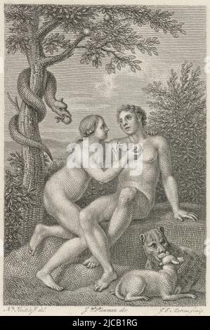 Eve tempts Adam to eat the forbidden fruit On the left the serpent with an apple in its mouth, in the foreground a predator is playing with a lamb, The temptation of Adam and Eve in Paradise, print maker: Jacob Ernst Marcus, (mentioned on object), Jan Willem Pieneman, (mentioned on object), intermediary draughtsman: Nicolaus Heideloff, (mentioned on object), Amsterdam, 1819, paper, etching, h 115 mm × w 85 mm Stock Photo