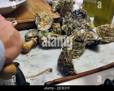 fresh homegrown oysters half-open and ready to be enjoyed at the table Stock Photo