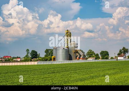 Modern Granary elevator. Silver silos on agro-processing and manufacturing plant for processing drying cleaning and storage of agricultural products, Stock Photo