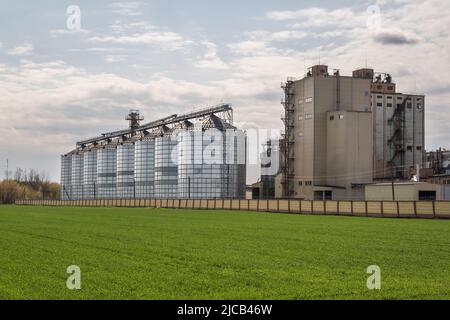 Modern Granary elevator. Silver silos on agro-processing and manufacturing plant for processing drying cleaning and storage of agricultural products, Stock Photo